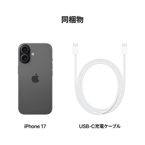 Apple iPhone 17 256GB ブラック MG674J-A | ノジマオンライン