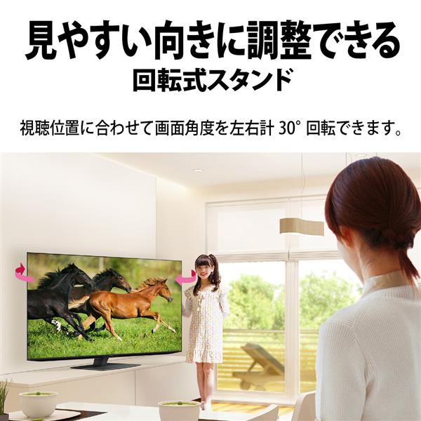 SHARP 4T-C48GQ3 4K有機ELテレビAQUOS(アクオス)GQ3ライン 48V型 GoogleTV搭載 | ノジマオンライン