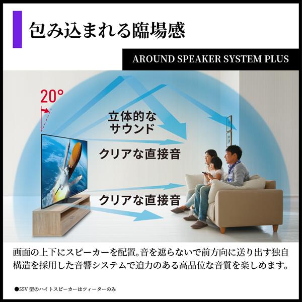 一都三県限定 配送設置無料 4K 有機ELテレビ SHARP 65インチ 楽天市場