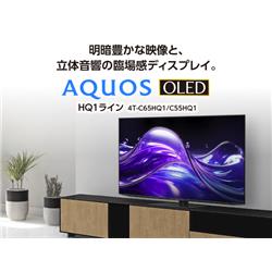 SHARP 4T-C55HQ1