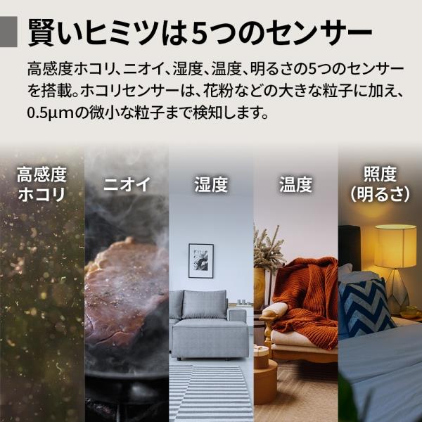 SHARP 空気清浄機 【Purefit 適用畳数：空清31畳/プラズマクラスター