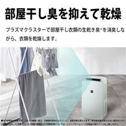 SHARP 衣類乾燥除湿機 コンプレッサー方式 除湿量9.0L プラズマ