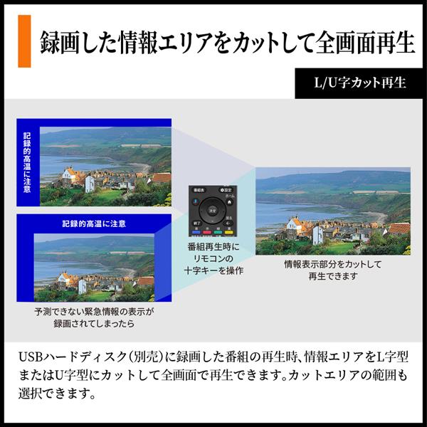 SHARP miniLED液晶テレビ AQUOS【50V型/GoogleTV搭載】 4T-50X7A