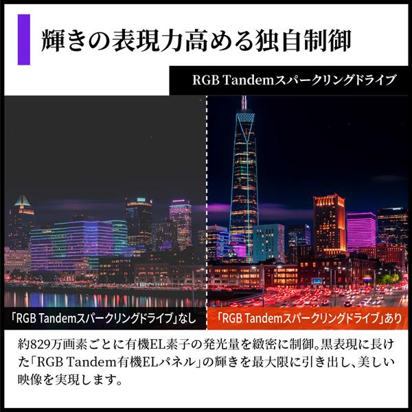 SHARP 有機ELテレビ AQUOS【48V型/GoogleTV搭載】 4T-48S9A | ノジマ