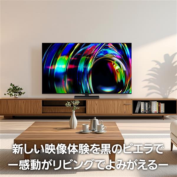 Panasonic 4K液晶テレビ 65V型/miniLED/FireTV/転倒防止スタンド/立体