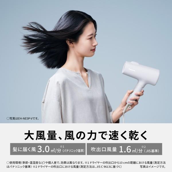 Panasonic ヘアードライヤー イオニティ [イオンケア＆大風量速/アイス