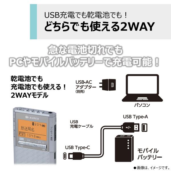 TOSHIBA LEDライト付きポケットラジオ TY-SCR70-S | ノジマ