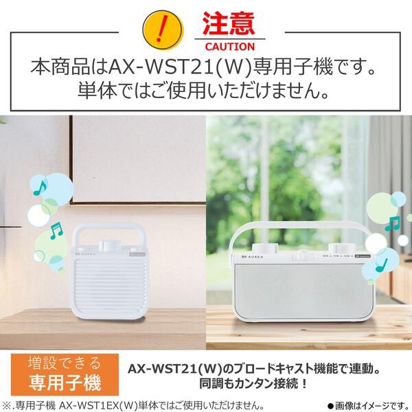 値下げ！【完全未使用】ワイヤレスガーデンスピーカーTOEX 値下げ！【完全未使用】ワイヤレスガーデンスピーカーTOEX