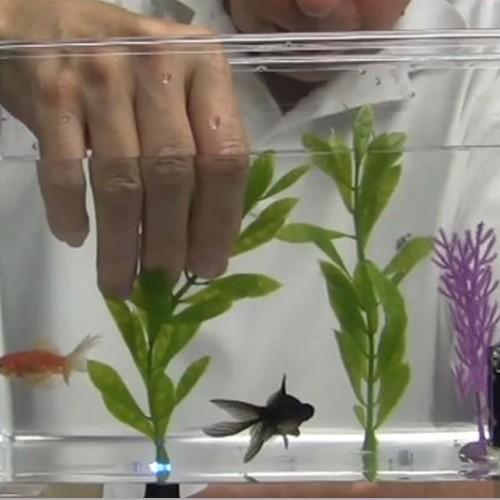 ジット BD-SKCJ BONDIC（ボンディック）液体プラスチック 接着剤