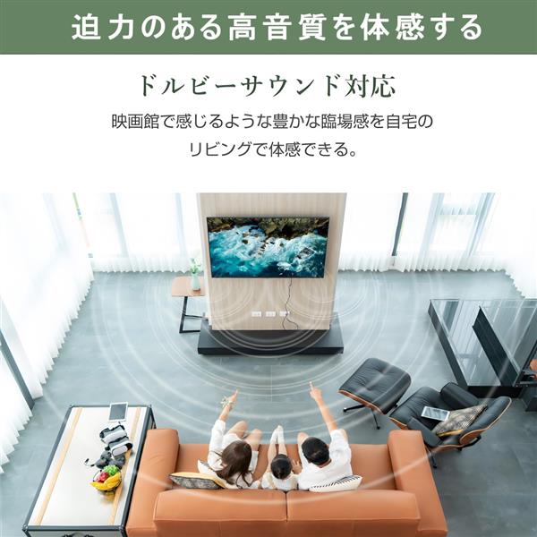 WIS 55インチ 大型画面モニター[4K/高音質/デジタルサイネージ/HDR] AS