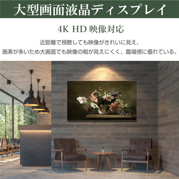 WIS 65インチ 大型画面モニター[4K/高音質/デジタルサイネージ/HDR] AS