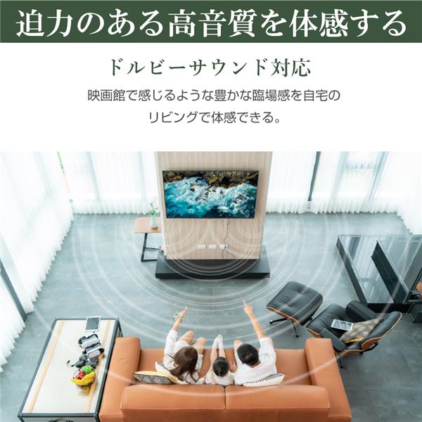WIS 65インチ 大型画面モニター[4K/高音質/デジタルサイネージ/HDR] AS