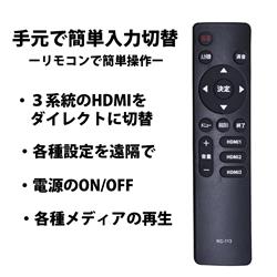 ダイコーアペックス 4K液晶モニタ65V型 ☆大型配送対象商品 AP65DPXB