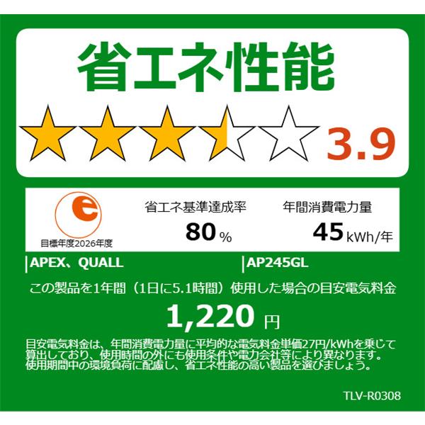 新品未使用 APEX アペックス 液晶テレビ AP245GL 24V型 Bluetooth対応 ハイビジョン Google TV 搭載 YouTube対応 ダイコーアペックス ダブルチューナー搭載ハイビジョン液晶テレビ 24V