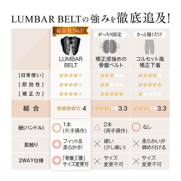 WAVEWAVE LUMBAR BELT WAVEWAVE WH49-02 | ノジマオンライン