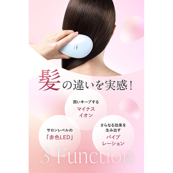 かえるちゃん ブラシ＋ホログラムセット 歯ブラシ 3本セット/園児用すみっコぐらし もぐらのおうち