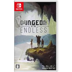 【Switch】 ダンジョン オブ ジ エンドレス（Dungeon of the ENDLESS）