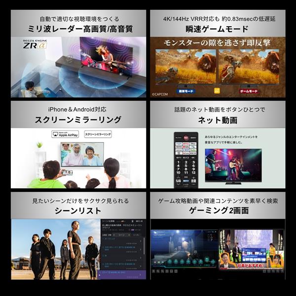 REGZA RGB Mini LED液晶テレビ/4Kテレビ/65インチ ☆大型配送対象商品