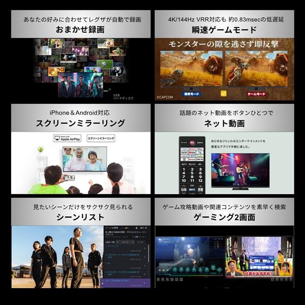 REGZA MiniLED液晶テレビ/量子ドット/4Kテレビ/43インチ 43Z890S
