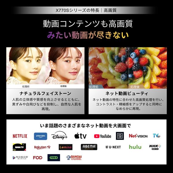 REGZA 有機ELテレビ/OLED/4Kテレビ/48インチ 48X770S | ノジマオンライン