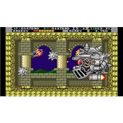 アイレムコレクション VOL.3 　限定版　Nintendo Switch Irem Collection Volume 3 Limited Edition (Nintendo Switch