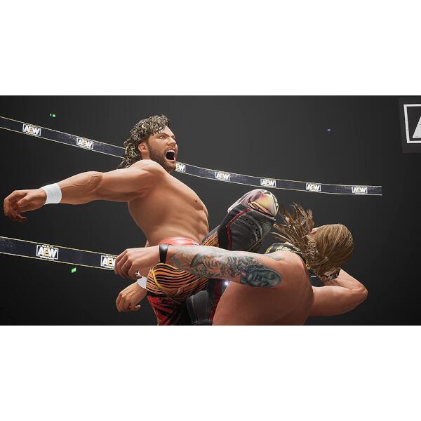 PS4】 AEW: Fight Forever（エーイーダブリュー: ファイト