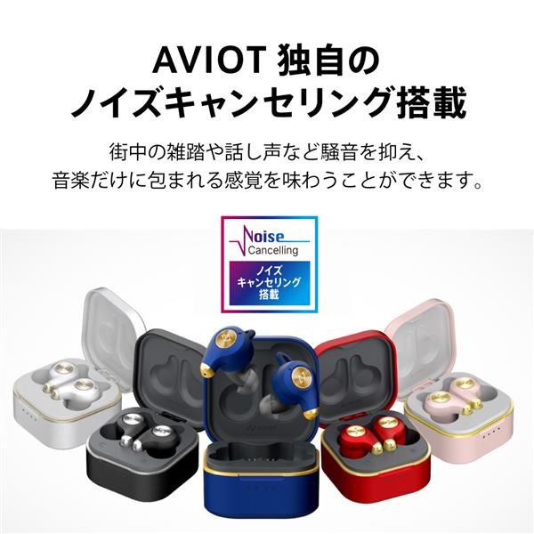 AVIOT イヤホン【ワイヤレス(左右分離)/Bluetooth/マイク対応/ノイズ
