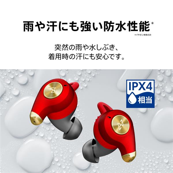 AVIOT イヤホン【ワイヤレス(左右分離)/Bluetooth/マイク対応