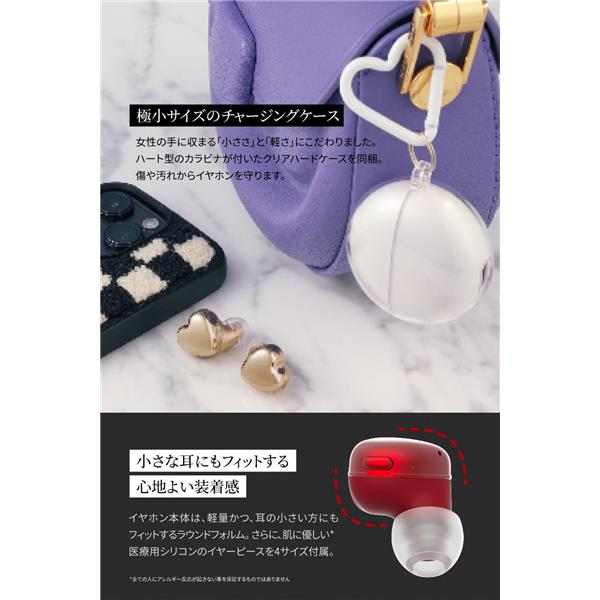 AVIOT イヤホン 【ワイヤレス(左右分離)/Bluetooth/マイク対応