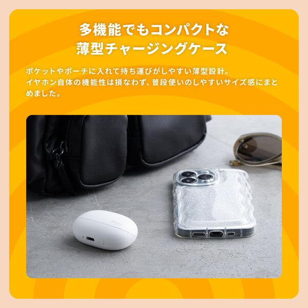 AVIOT トゥルーワイヤレスイヤホン AVIOT トゥルーワイヤレスイヤホン HYDE [TE-J2-666]｜新品通販