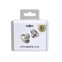 Shokz 完全ワイヤレスイヤホン OpenDots ONE Grey【オープンイヤー