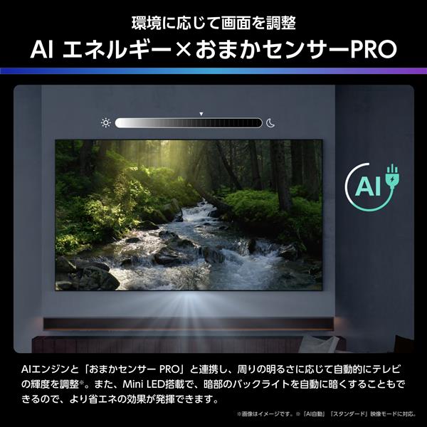 ハイセンス 4K液晶テレビ 75V型/miniLED/144Hz ☆大型配送対象