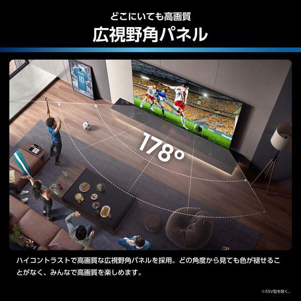 ハイセンス 4K液晶スマートテレビ [65V型/Mini LED/スマートテレビ