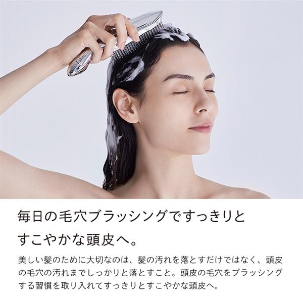 MTG RS-AI00A ReFa ION CARE BRUSH[リファ イオンケアブラシ] | ノジマ 