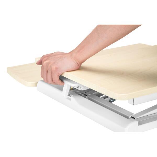 DMM.make 卓上昇降デスク【デュアルタイプ無段階調整/ガス圧式