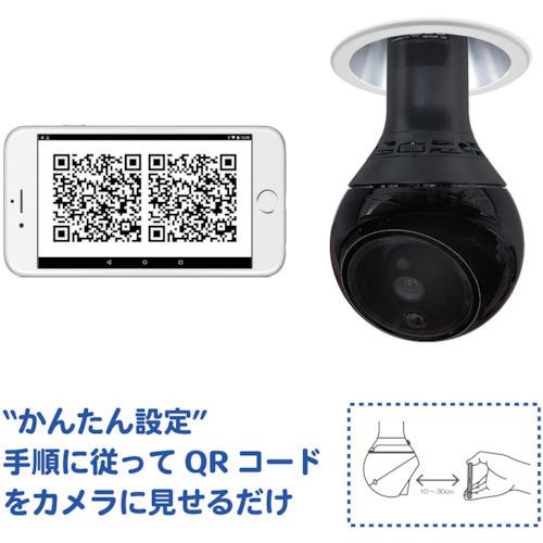 ダブリュー・ビィ・ジャパン PlugInCam 360度自動追尾カメラ PlugInCam