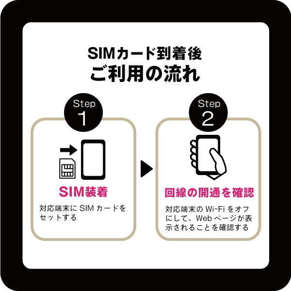 BENEFITJAPAN prepaidSIM3GB12months 楽天プリペイドSIM ONLYSIM【毎月3GB/初月+12ヶ月間】 |  ノジマオンライン