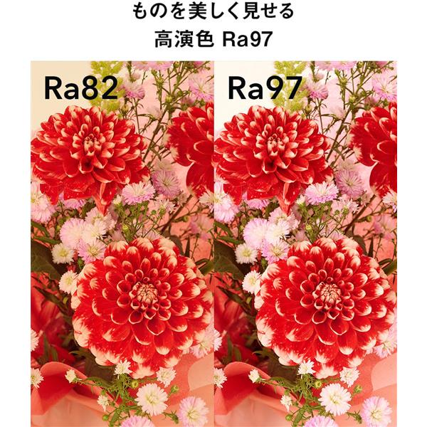最終値下げ】MOGURA MINI / artemide