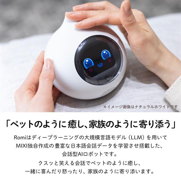 MIXI 会話AIロボットRomi Lacatanモデル ムーングレー ROMI-L01GY