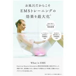 MYTREX MT-AL22B MYTREX EMSヒップトレーニングマシーン【バス MYTREX MT-AL22B MYTREX EMSヒップトレーニングマシーン【バス