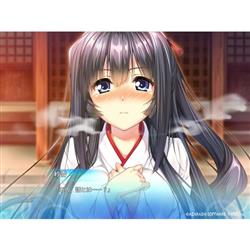 オカジマアキコさん専用 有限会社アレス HAC-P-A9UKA 【Switch】 アマカノ | ノジマ