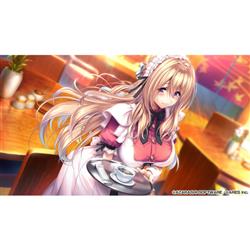 Switch】 アマカノ2 | ノジマオンライン