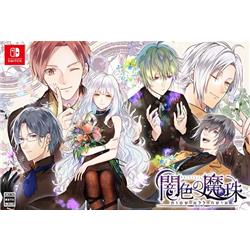 【Switch】 闇色の魔珠 初回限定版
