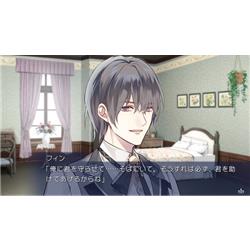 Switch】 闇色の魔珠 初回限定版 | ノジマオンライン