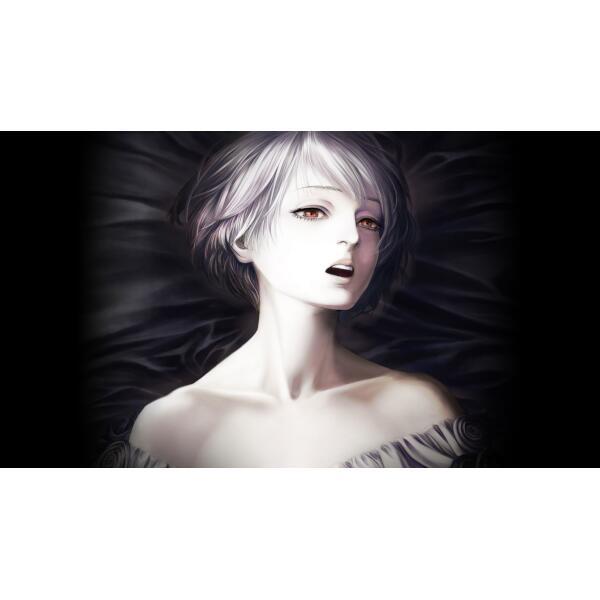 dramaticcreate HAC-P-A2MBA 【Switch】 ファタモルガーナの館