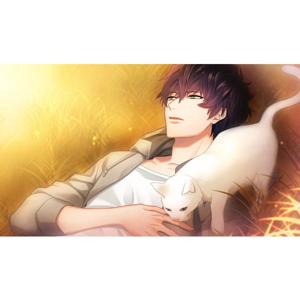 dramatic create HAC-P-BMD8A 【Switch】 DYNAMIC CHORD