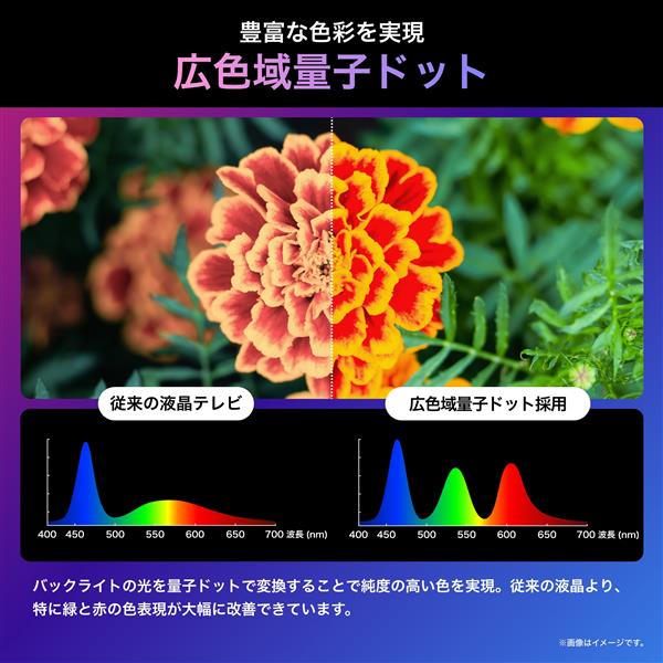 ハイセンス 4K液晶テレビ 【65V型/miniLED/量子ドット/低反射高