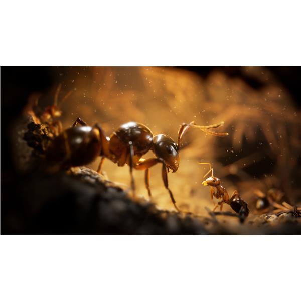 PS5】 蟻の帝国ーEmpire of the Ants | ノジマオンライン