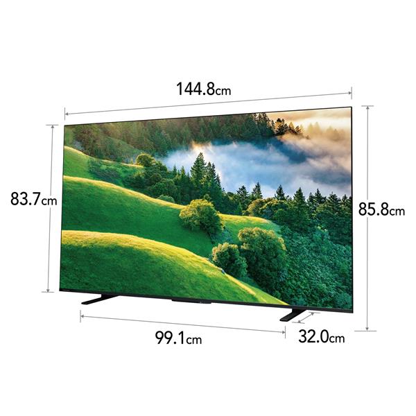 4K液晶TV REGZA（レグザ)【65V型/4Kチューナー内蔵/YouTube対応】★大型配送対象商品 65M550L