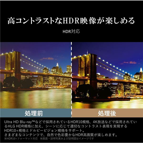 REGZA 65M550M 4K液晶テレビ REGZA(レグザ)【65V型/4Kチューナー
